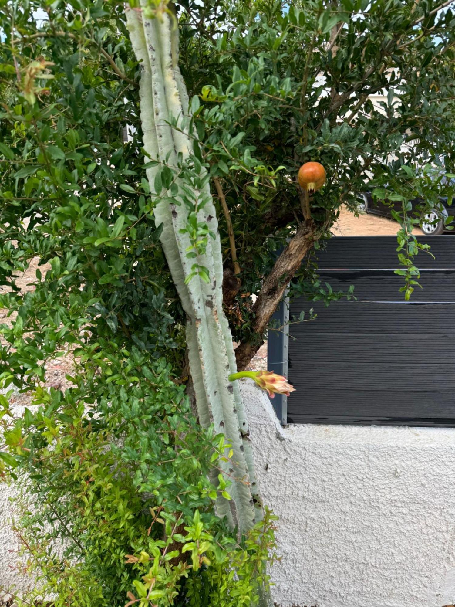 Secret Garden Airport-Beach Villas 300M From Famous Davis Beach Artemida  Exterior photo